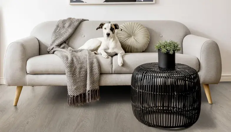 Greenland Grey salon